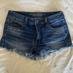 American Eagle Festival Shorts - Dark